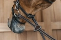 WOAPGB Dy'on ogłowie Flash Noseband with Snap Cheekpiece