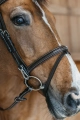 Dy'on ogłowie Flash Noseband with Snap Cheekpiece WOAPGB
