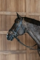 Dy'on ogłowie Flash Noseband with Snap Cheekpiece WOAPGB