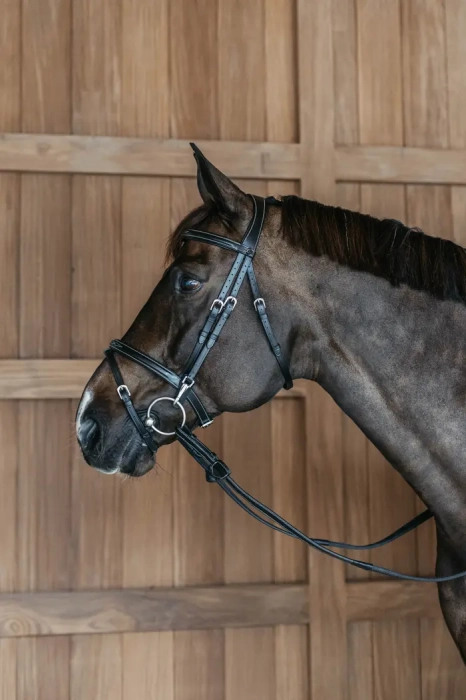 Dy'on ogłowie Flash Noseband with Snap Cheekpiece WOAPGB