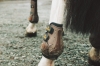 Ochraniacze tyły Moonboots Max Kentucky brown