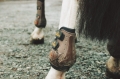 Ochraniacze tyły Moonboots Max Kentucky brown