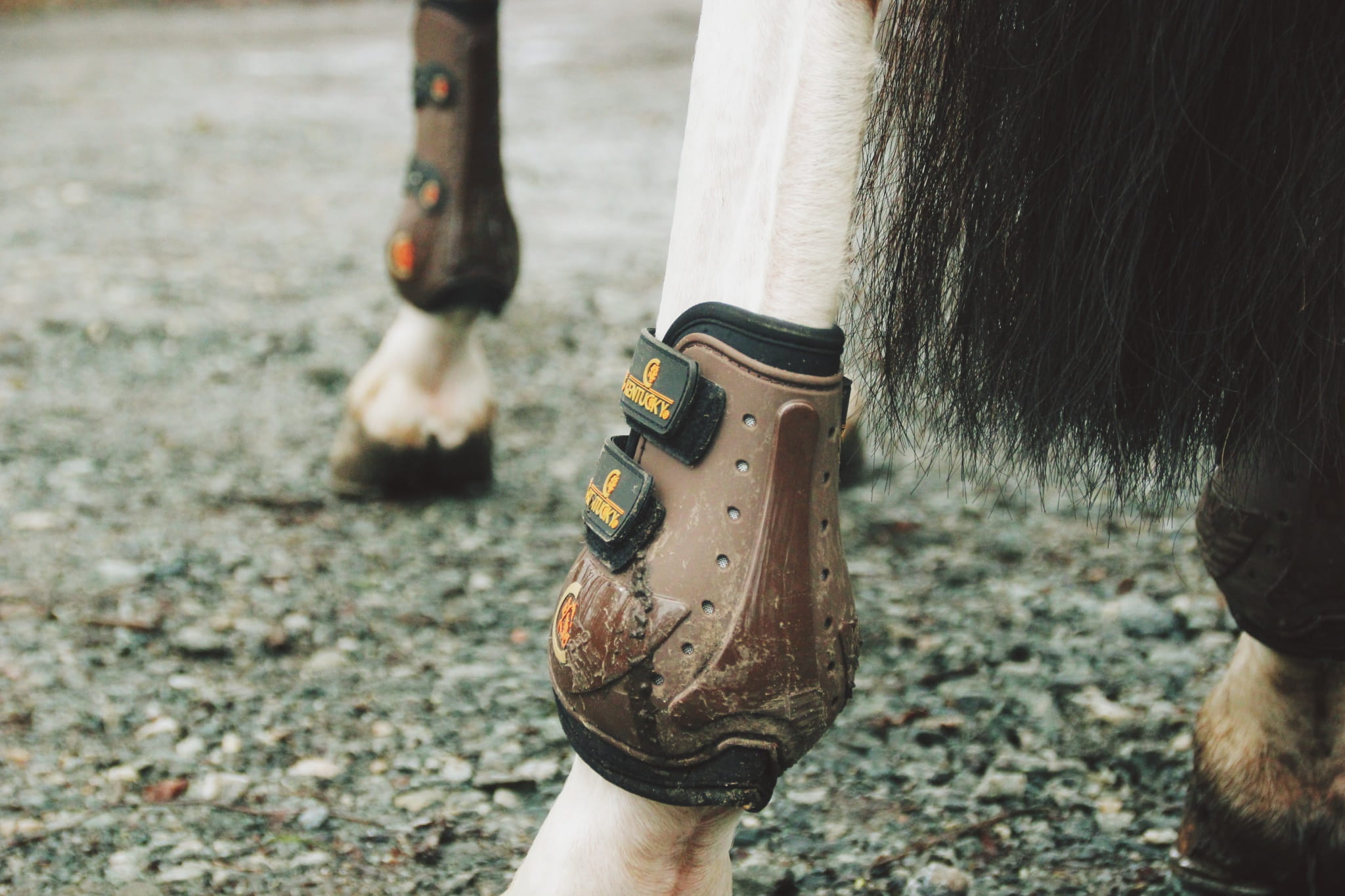 Ochraniacze tyły Moonboots Max Kentucky brown