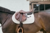 czaprak skokowy kentucky plaited cord beżowy