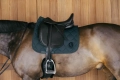 Kentucky czaprak Wave Dressage dark green