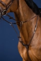 ref. US07BBRF.webp