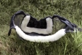 Kentucky maska Skin Friendly with ears