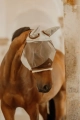 Kentucky maska Skin Friendly with ears