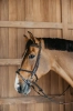 WOXXJG Dy'on ogłowie Plaited Training Working