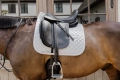 czaprak ujeżdżeniowy kentucky diamond rope szary