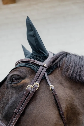 DYAOAKBRF Dy'on ogłowie Plaited Flash Noseband Bridle D Collection