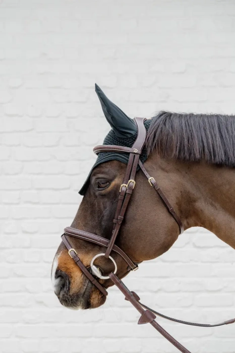 Dy'on ogłowie Plaited Flash Noseband Bridle D Collection DYAOAKBRF