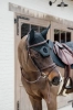 DYAOAKBRF Dy'on ogłowie Plaited Flash Noseband Bridle D Collection