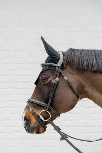 Dy'on ogłowie Plaited Flash Noseband Bridle D Collection DYAOAKBLF