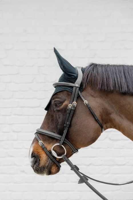 Dy'on ogłowie Plaited Flash Noseband Bridle D Collection DYAOAKBLF