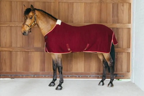 kentucky derka cooler bordowa