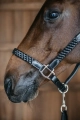 kantar dyon plaited czarny