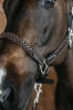 Dy'on kantar Plaited brown