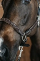 Dy'on kantar Plaited brown