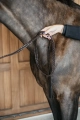 Dy'on uwiąz Plaited brązowy