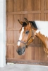 ref. 42507 1.webp