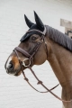 Dy'on ogłowie Plaited Flash Noseband with Pull back D Collection DYAJAZBRF