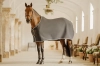 Kentucky derka Show Vegan Wool grey