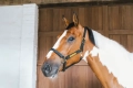 ref. 42507-01-COB.webp