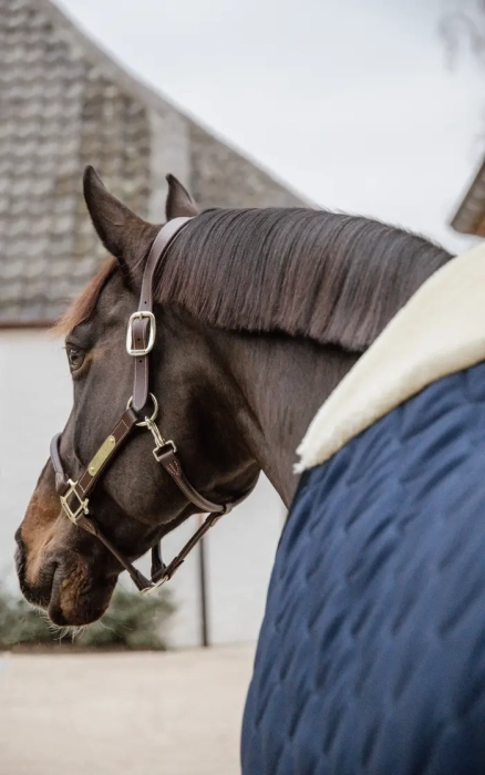 derka kentucky 200g navy