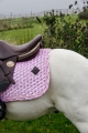 czaprak kentucky sammy pony