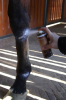 grooming deluxe spray na rany