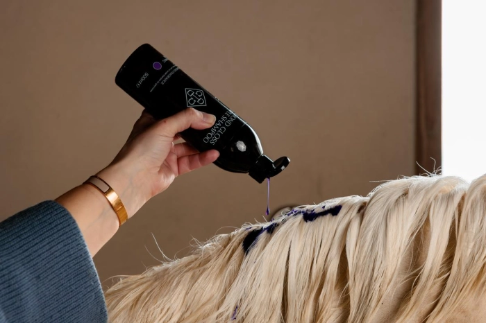 grooming deluxe fioletowy szampon dla koni