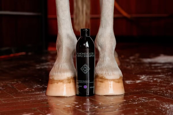 grooming deluxe kentucky purple shampoo
