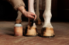 Kentucky olej do kopyt GD Hoof Oil Shine natural