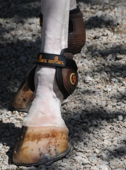 Kentucky Ochraniacze Moonboots brązowe