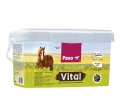 Pavo Vital Refill