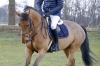 Kentucky Sheepskin Half Pad Absorb, podkładka pod siodło