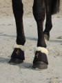 Kaloszki Sheepskin Kentucky