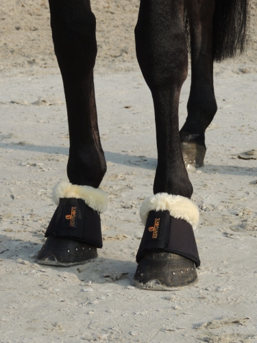 Kaloszki Sheepskin Kentucky
